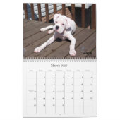 BoxerCrazy 2009 Kalender (Mär 2027)