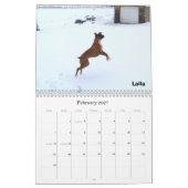 BoxerCrazy 2009 Kalender (Feb 2027)