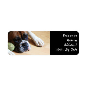 Boxerhund