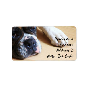 Boxerhund Adressaufkleber