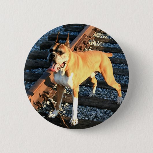 Boxerhund auf Bahnstrecke-Knopf Button (Vorderseite)