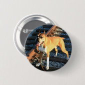Boxerhund auf Bahnstrecke-Knopf Button (Vorne & Hinten)