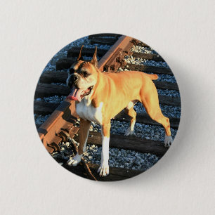 Boxerhund auf Bahnstrecke-Knopf Button