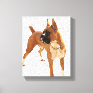 Boxerhund dehnte Leinwanddruck aus