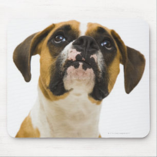 Boxerhund, der oben schaut mousepad