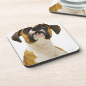 Boxerhund, der oben schaut untersetzer (Linke Seite)