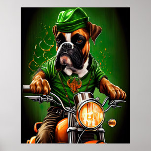 Boxerhund fährt Fahrrad am St. Patrick's Day Poster
