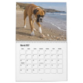 Boxerhund-Kalender Kalender (Mär 2027)