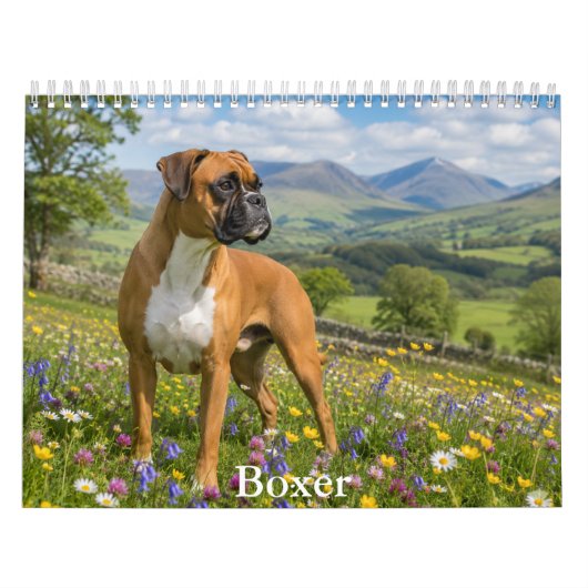 Boxerhund-Kalender Kalender (Titelbild)