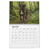 Boxerhund-Kalender Kalender (Feb 2027)