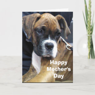 BOXERHUND KARTE