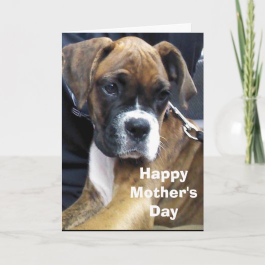 BOXERHUND  KARTE (Vorderseite)