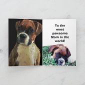 BOXERHUND  KARTE (Innenseite)