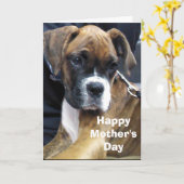 BOXERHUND  KARTE (Gelbe Blume)