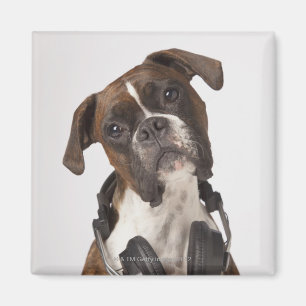 Boxerhund mit Kopfhörern Magnet