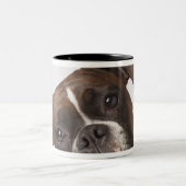 Boxerhund mit Kopfhörern Zweifarbige Tasse (Mittel)