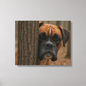 Boxerhund schaut herein leinwanddruck (Vorderseite)
