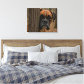 Boxerhund schaut herein leinwanddruck (Insitu (Schlafzimmer))