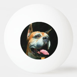 Boxerhund Tischtennisball