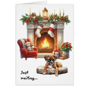 Boxerhund wartet auf Weihnachten