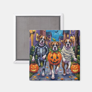 Boxerhunde beim Trick-or-Treat in Halloween-Kostüm Magnet