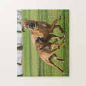 Boxerhunde lassen ein lustiges Rennen laufen Puzzle (Vertikal)