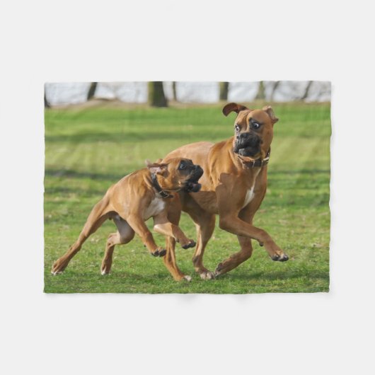 Boxerhunde laufen ein lustiges Rennen Fleecedecke (Vorderseite (Horizontal))