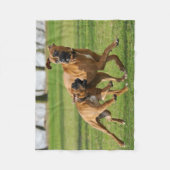 Boxerhunde laufen ein lustiges Rennen Fleecedecke (Vorderseite)