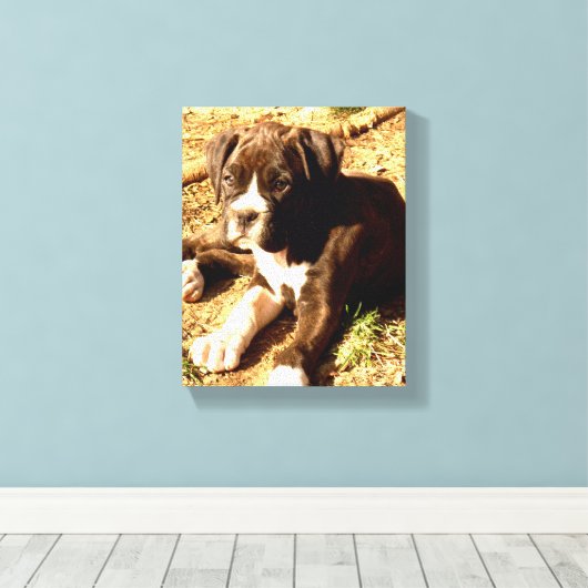 Boxerhunde Leinwanddruck (Insitu (Holzboden))