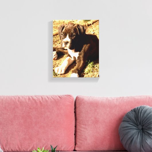Boxerhunde Leinwanddruck (Insitu (Wohnzimmer))