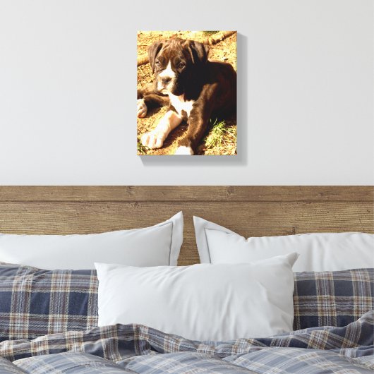 Boxerhunde Leinwanddruck (Insitu (Schlafzimmer))
