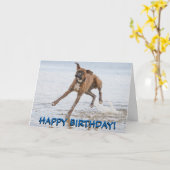 Boxerhundegeburtstagskarte Karte (Gelbe Blume)