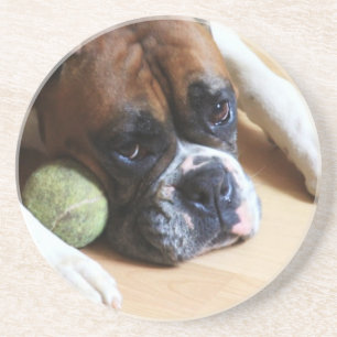 BoxerhundeUntersetzer Getränkeuntersetzer