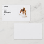 BoxerhundeVisitenkarte Visitenkarte (Vorne/Hinten)