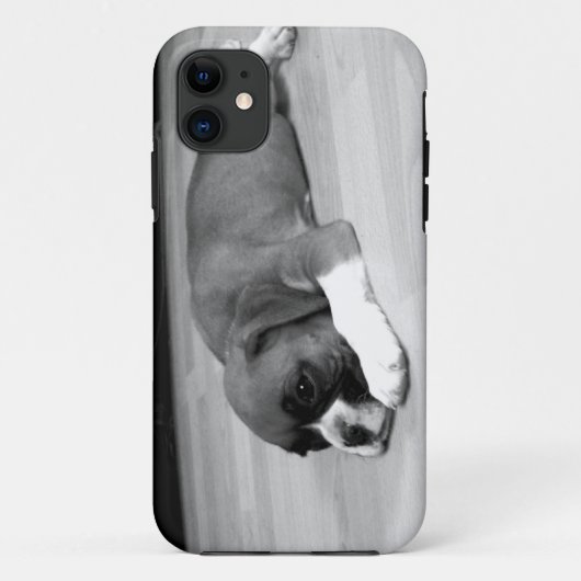 BoxerhundiPhone 5 kaum dort universeller Fall Case-Mate iPhone Hülle (Rückseite)
