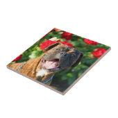 BoxerhundKeramik-Fliese Fliese (Seite)