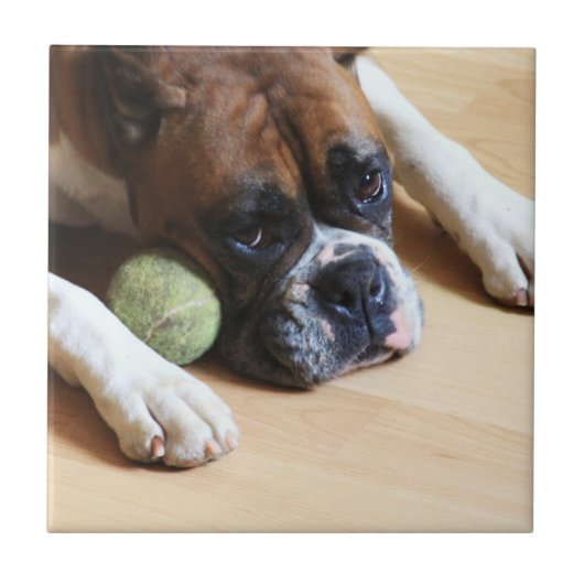 BoxerhundKeramik-Fliese Fliese (Vorderseite)