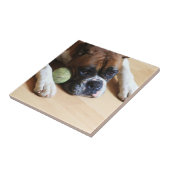 BoxerhundKeramik-Fliese Fliese (Seite)