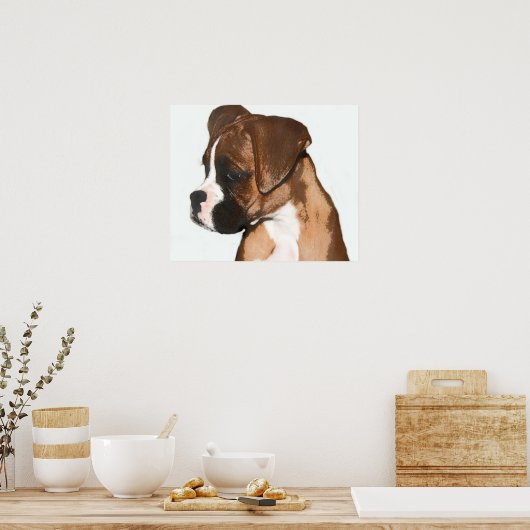 Boxerlöffel Poster (Küche)