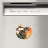 Boxermagnet Magnet (In Situ (Geschirrspüler))