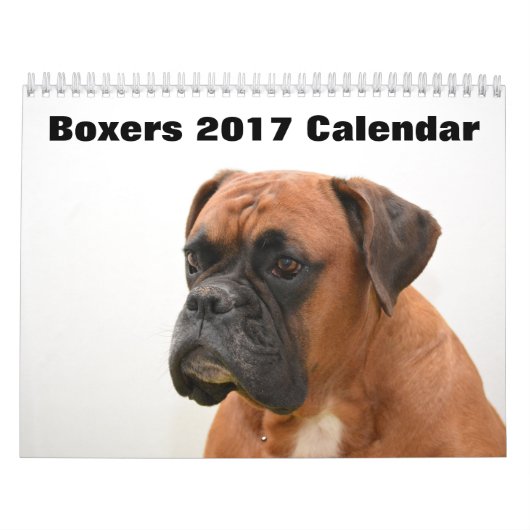 Boxers Dogs 2017 Kalender (Titelbild)