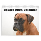 Boxers Dogs 2024 Kalender (Titelbild)