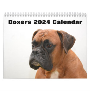 Boxers Dogs 2024 Kalender