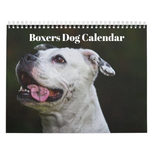 Boxers Dogs 2025 Kalender (Titelbild)