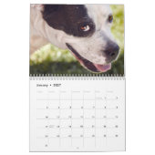 Boxers Dogs 2025 Kalender (Jan 2027)