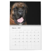 Boxers Dogs 2025 Kalender (Feb 2027)