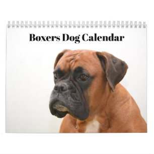 Boxers Hund 2020 Kalender