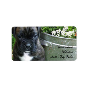 Boxerwelpe Adressaufkleber
