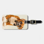 Boxerwelpe auf Elfenbeincremehintergrund Gepäckanhänger (Vorderseite horizontal)