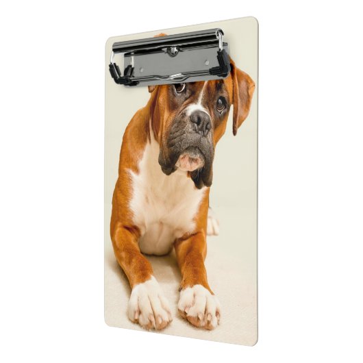 Boxerwelpe auf Elfenbeincremehintergrund Mini Klemmbrett (Gewinkelt2)